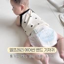 차고달고 | 엘프레리 에어씬 밴드 기저귀 | 여름 기저귀로 추천! 솔직 사용후기