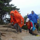 뚱보네식당 이미지