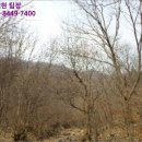 연천초고문분교장 이미지