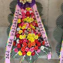 엔젤 타운 이미지