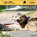 별이/여아/1살 이미지