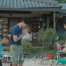 삼시세끼 이미지