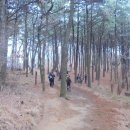 봄비식당 이미지