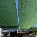 수지주유소 | 광교/상현/수지 넘버원 손세차장