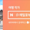 라소(laso) 이미지