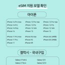 인터넷클릭I | 사이판ESIM 인터넷 데이터 설치 후기