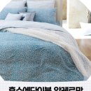 분당알레르망 이미지