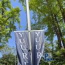 [yuuri 유우리 내한 콘서트] 케이스포돔 KSPO 돔 1층 스탠딩 B구역 320번대 시야 후기