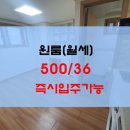영신이용원 이미지