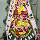 리온선수트레이닝센터 네이버블로그