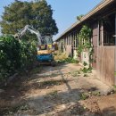 당진 승마장 이미지