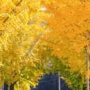 쌍이리귀바위 이미지