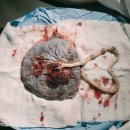 서대신4동(주민센터) 이미지