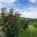 산골농부네 이미지