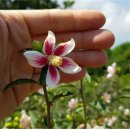 파트너환경㈜ 이미지