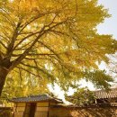 은행마을로 이미지