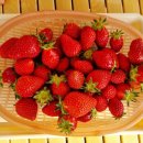 유명농장 이미지