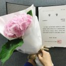예솜기획