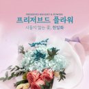 식선생 이미지