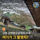 태산자동차정비 | 고령 김면장군 유적지 | 왕과 사는 남자 관아씬 촬영지·경북 고령 아이와 가볼만한곳·유해진 박지훈...