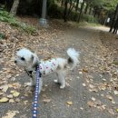 침대세탁굿모닝 이미지