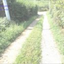 구암동213 이미지