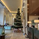 푸른식물병원 | 나트랑 가성비 숙소 머큐어 호텔 레이트 체크아웃 후기