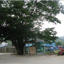 여주-0332 Daum카페