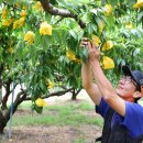 플러스농장2 이미지