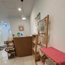 미용1 | 고양이 무마취 미용 후기｜슈슈켓 네벨룽 1mm 컷 리얼 후기 (+가격, 털갈이, 주의사항)