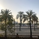 용용민박 이미지