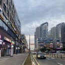 메가번(배곧점) 네이버블로그