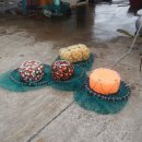 포구로2L 이미지