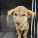 태안동물병원 이미지