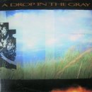 더그레이(THE GRAY)