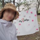 율하천 (김해기적의도서관 AP2) | 김해 율하천 카페거리 벚꽃 명소 - 경남 산책하기 좋은 곳 야경 율하 벚꽃축제 후기