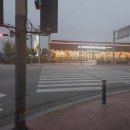 거북이약방