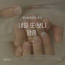 네일또보니