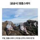 스테이 오년 네이버블로그