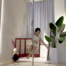 아이폴댄스 이미지