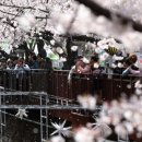 진해구 ⓒ-31 이미지