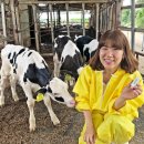 유라이크 이미지