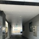 체온담다 | 울산 면역증진 ‘효소를 담다, 효담’ 편백 찜질 모녀데이트 솔직후기