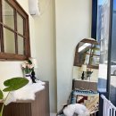 미용하는 강아지 이미지