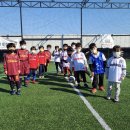 [(주)라곰스포츠] 안성스타필드 축구교실 WM아카데미 정규직 감독 및 코치 채용 이미지