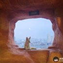 산대목장 | [동물원] 영등포 타임스퀘어 주렁주렁 동물원 방문 후기❤️