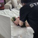 피카나라 | [내돈내산] 부산/창원 출장스냅 신생아 뉴본 본아트 몾지스냅 후기