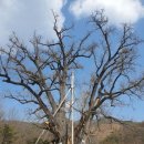 용계축산 이미지