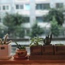 밀콩베이커리 이미지
