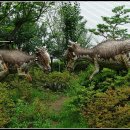 덕소자연사박물관 이미지